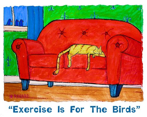 Matt Rinard Exercise Is For The Birds